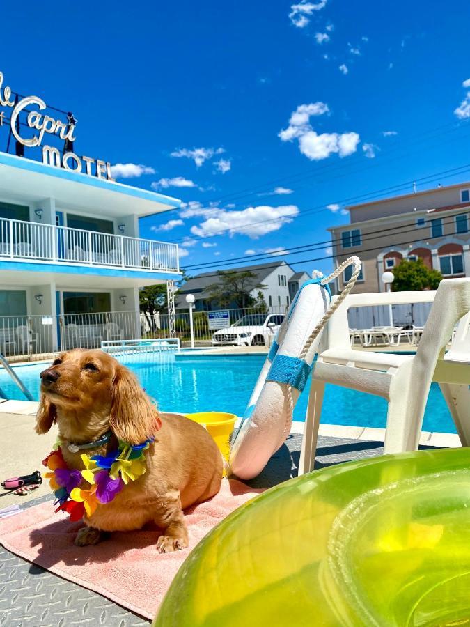 Isle Of Capri Motel North Wildwood Exteriér fotografie
